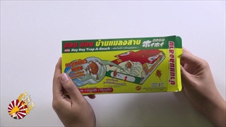 ฮอย ฮอย บ้านลับจับปีเตอร์