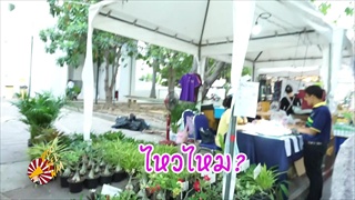 ของดี? (ผู้ชาย) เกษตรแฟร์