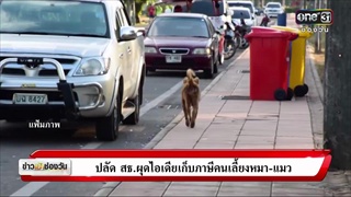 ปลัด สธ.ผุดไอเดียเก็บภาษีคนเลี้ยงหมา-แมว | ข่าวช่องวัน | ช่อง one31
