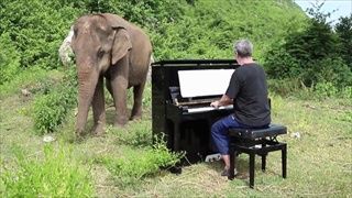 ชายอังกฤษยกเปียโนไปเล่นกลางป่า บำบัดช้างไทยตาบอด