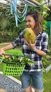 "แอน สิเรียม" เก็บแตงไทยในสวนผักปลูกเอง มุมโปรดในบ้านหรูผลผลิตเยอะมาก