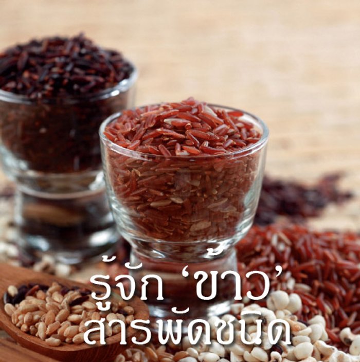 รู้จักข้าวสารพัดชนิด