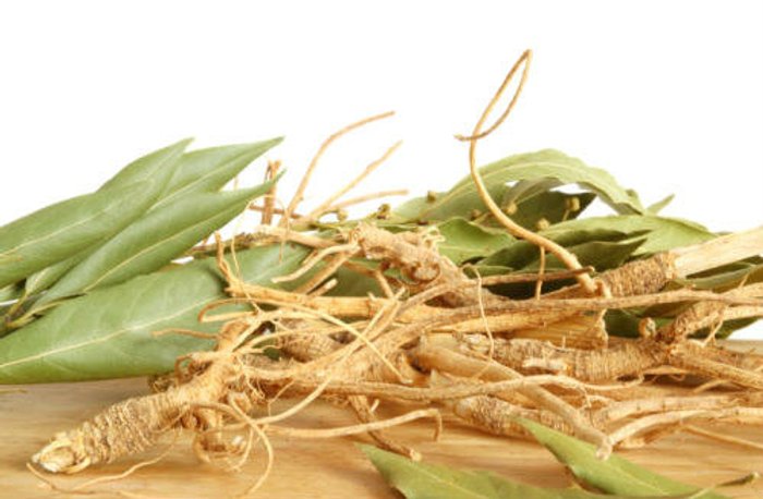 โสม (Ginseng) ประโยชน์ สรรพคุณของโสม