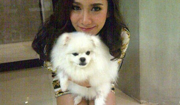 อั้ม พัชราภา กับ น้องหมาสุดเลิฟ