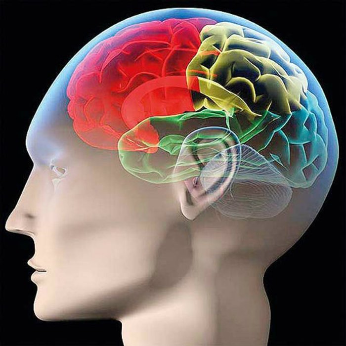 ออกกำลัง สมอง เพิ่ม คุณภาพ ให้ชีวิต