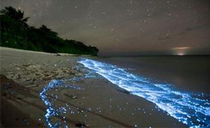 A 5 stars pampering trip @ the Star Shaped Island, the Maldives