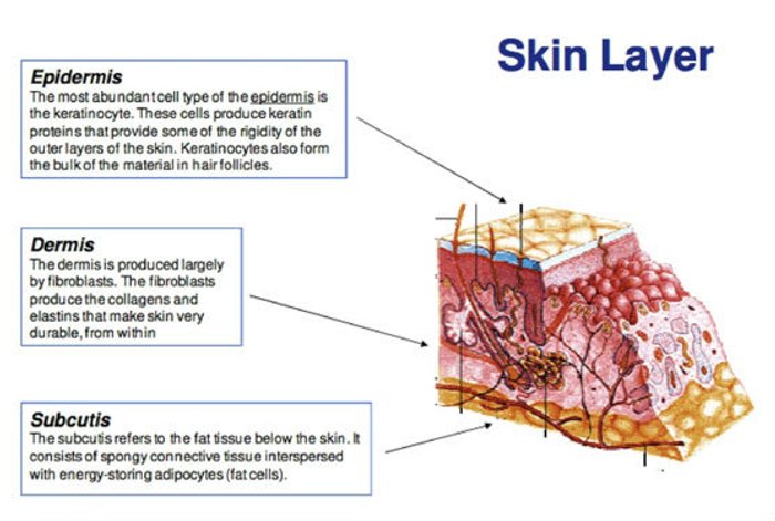 SYN-AKE Age Killing Effect