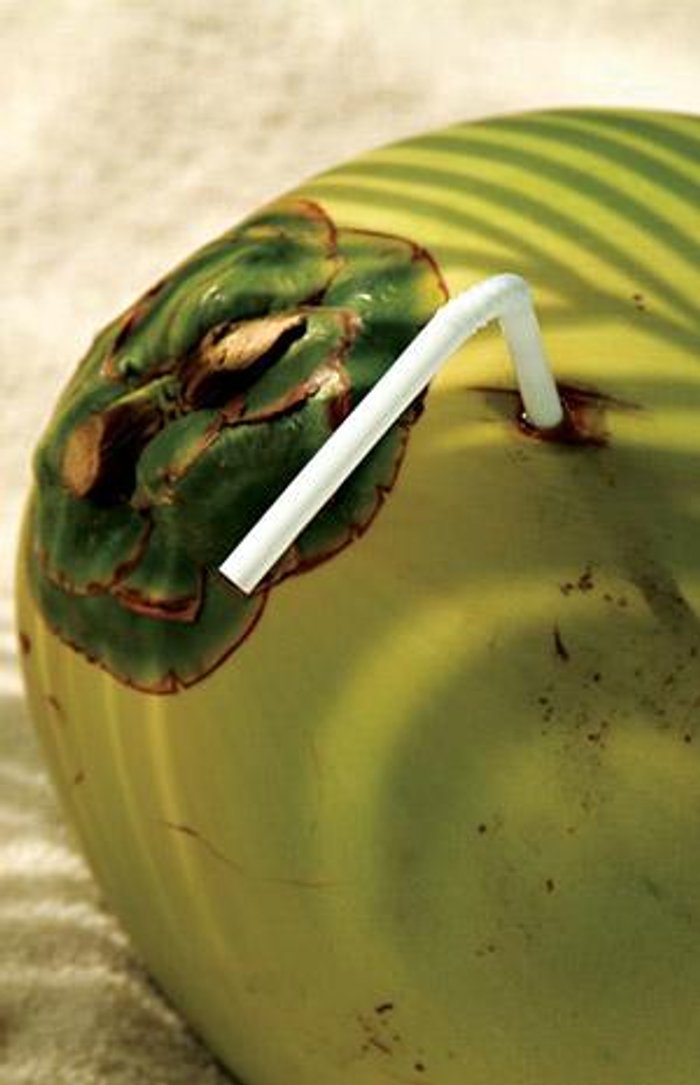 Magic Coconut