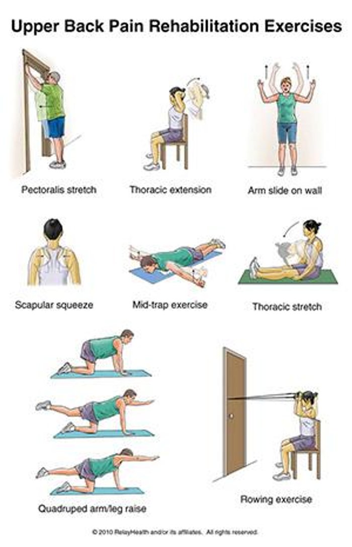 Exercise for Upper Back Pain