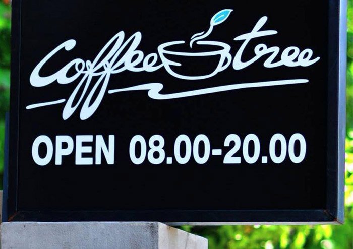 ชวนจิบกาแฟในสวนกับ Coffee Tree