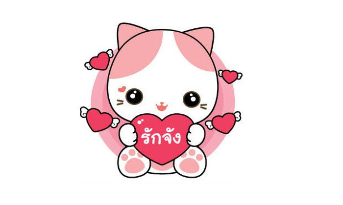 แมวรักจังที่ดังสุดในตอนนี้