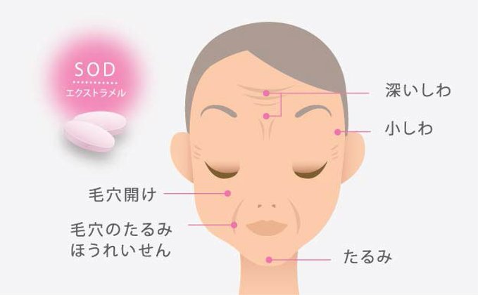 วิธีแก้ “หน้าแก่ก่อนวัย” SOD โดนใจสาวออฟฟิศ