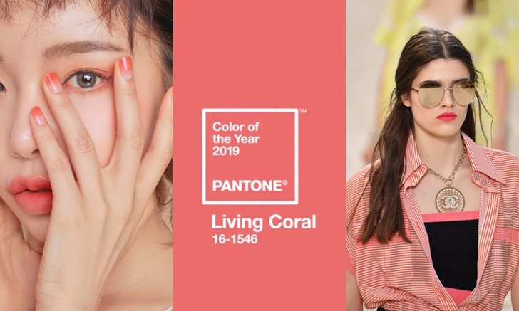 คุมโทน "Living Coral" หรือ "สีส้มปะการัง" เทรนด์สีแห่งปี 2019 ของ Pantone