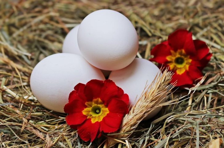 ดอกไม้ และไข่ขาว