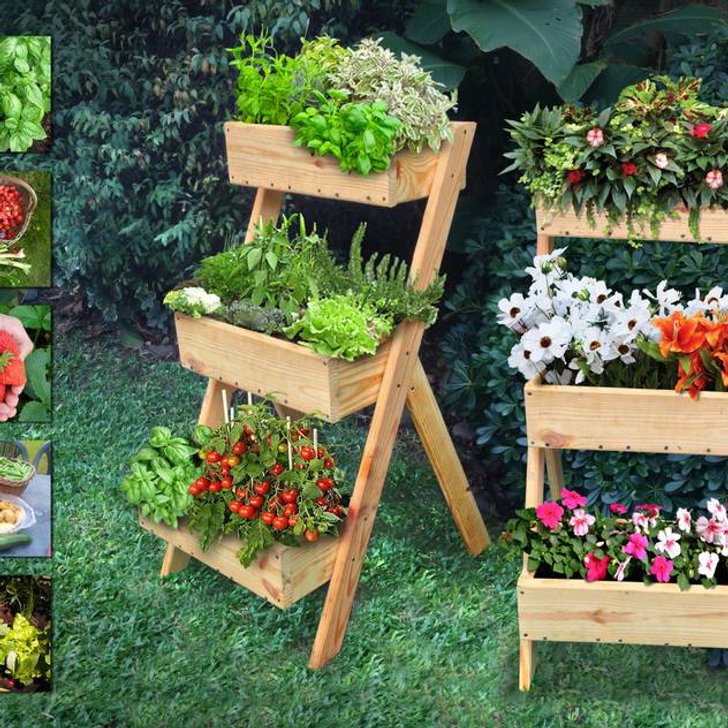 สวน by Mundo Garden