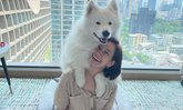 จำกันได้ไหม "สา มาริสา" จากนางแบบ นักแสดง ผันตัวเป็นนักบำบัดสุนัข