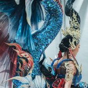 ชุดปลากัดไทย