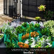 DIY สวนแนวตั้ง vertical garden ในงบไม่เกิน 10000 บาท