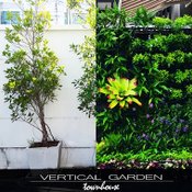 DIY สวนแนวตั้ง vertical garden ในงบไม่เกิน 10000 บาท