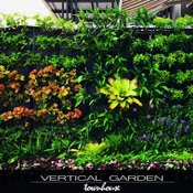 DIY สวนแนวตั้ง vertical garden ในงบไม่เกิน 10000 บาท