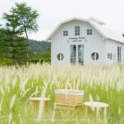 Memory House Cafe โรงนาสีขาวในทุ่งหญ้า