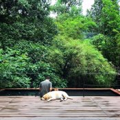 คาเฟ่ “บ้านในหมง” ของ “มุก มุกดา” พร้อมไอเดียรับอาสาสมัครสวนเกษตรอินทรีย์