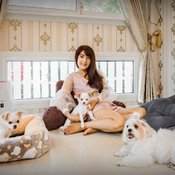 บ้านน้องหมาสไตล์โรมัน ดีไซน์สวยคลาสสิก ไม่ซ้ำใคร พร้อมพื้นที่โล่งกว้างแบบจัดเต็ม เอาใจคนรักน้องหมาโดยเฉพาะ