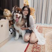 “บ้านลำไย ไหทองคำ” บ้านซื้อเงินสด สร้างเพื่อคนที่รัก พร้อมเจ้ามีตัง สุนัขตัวโปรด