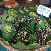 เจ๋งดี ภาชนะจากธรรมชาติ ที่ตลาดใต้โหนด ไอเดียรักษ์โลกคนพัทลุง