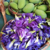 เจ๋งดี ภาชนะจากธรรมชาติ ที่ตลาดใต้โหนด ไอเดียรักษ์โลกคนพัทลุง