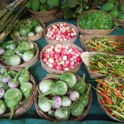 เจ๋งดี ภาชนะจากธรรมชาติ ที่ตลาดใต้โหนด ไอเดียรักษ์โลกคนพัทลุง