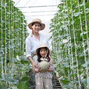 แสนสิริชวนลูกบ้านเปลี่ยนที่ว่างรอบบ้านและในคอนโดฯ เป็นสวนผักทานได้