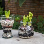 DIY กระถางดอกไม้จากโหลแก้ว เพิ่มความสดชื่นให้บ้านแสนรัก