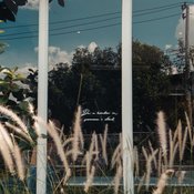 “On a Cloud cafe” คาเฟ่สีน้ำเงิน ดีไซน์อบอุ่นเหมือนบ้านของ “เพชร กรุณพล”