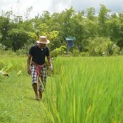 "บ้านไมค์ ภิรมย์พร" อาณาจักรเรือกสวนไร่นา ชีวิตที่พึ่งพาความเรียบง่าย