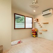 พาชม “บ้านน้องแมว” ดีไซน์เรียบหรูแบบชิคๆ เหมือนยกคาเฟ่แมวมาไว้ในบ้านเอง