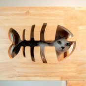 พาชม “บ้านน้องแมว” ดีไซน์เรียบหรูแบบชิคๆ เหมือนยกคาเฟ่แมวมาไว้ในบ้านเอง