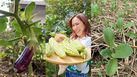 เปิดสวนผักออร์แกนิคของ "จอย รินลณี" ปลูกเองกับมือทุกต้น