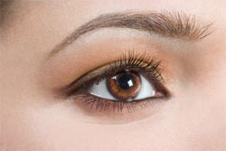 เคล็ดลับ, ความสวยความงาม, บิวตี้ทิป, BEAUTY-TIPS, สูตรความงาม, ดวงตา, ตาสองชั้น, ตาคล้ำ