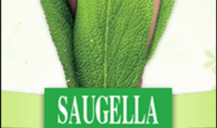 พบกิจกรรมฟังสบายหู สนุกลุ้นโชคกับ Saugella