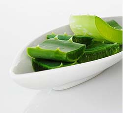 ว่านหางจระเข้, สมุนไพร