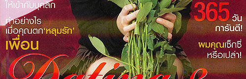 นิตยสาร Hiar ฉบับเดือนกุมภาพันธ์ 2551 หน้าปก ฮิลารี ดัฟฟ์