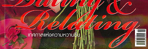 นิตยสาร Hiar ฉบับเดือนกุมภาพันธ์ 2551 หน้าปก ฮิลารี ดัฟฟ์