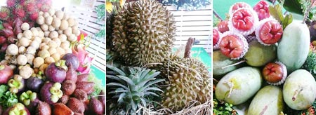 Bangkok Fruit Fest 2008