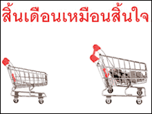 สิ้นเดือนเหมือนสิ้นใจ เงินไม่พอใช้ ทำไงดี