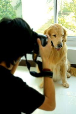 ตามหาช่างภาพไว้ถ่ายรูปคุณกับสัตว์เลี้ยง