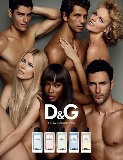 D&G Anthology Collection น้ำหอมแนวใหม่