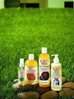 Burt’s Bees Body Wash & Body Care