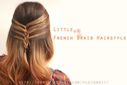 Little French Braid Hairstyle