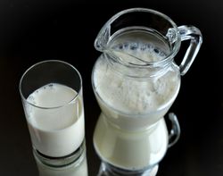 ดื่มนมแล้วทำไมท้องเสีย เกิดจากอะไร แก้ยังไงดีนะ?